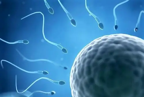 美国试管婴儿如何解决子宫内膜异位症性不孕？